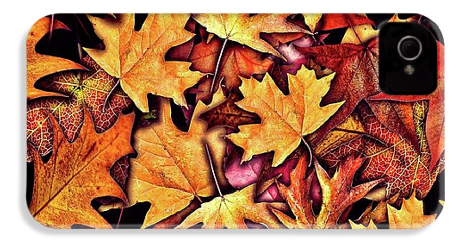 Fall Leaves Collage - Phone Case