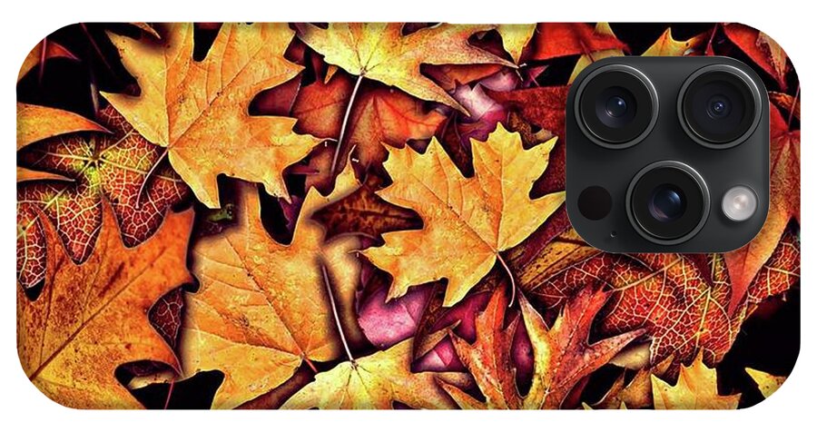 Fall Leaves Collage - Phone Case