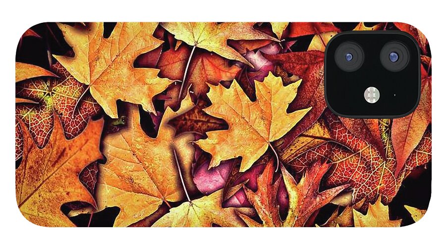 Fall Leaves Collage - Phone Case