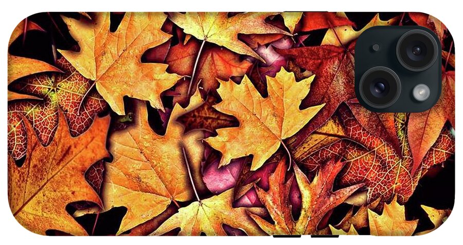 Fall Leaves Collage - Phone Case