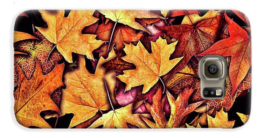 Fall Leaves Collage - Phone Case