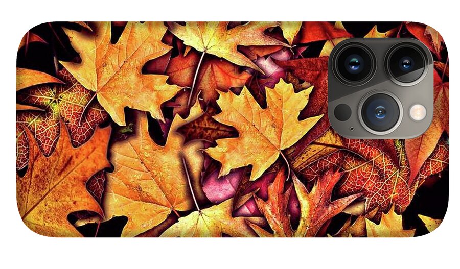 Fall Leaves Collage - Phone Case