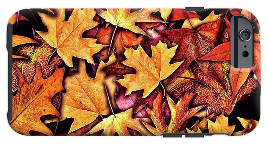 Fall Leaves Collage - Phone Case