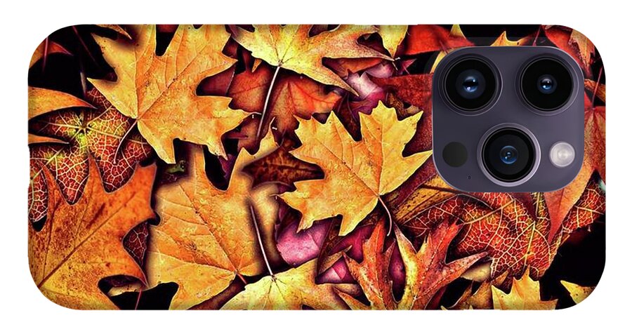 Fall Leaves Collage - Phone Case