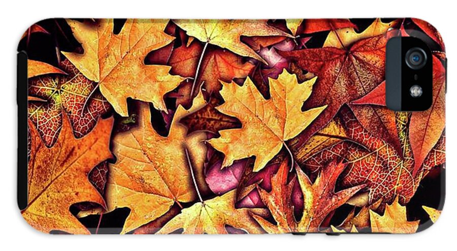 Fall Leaves Collage - Phone Case