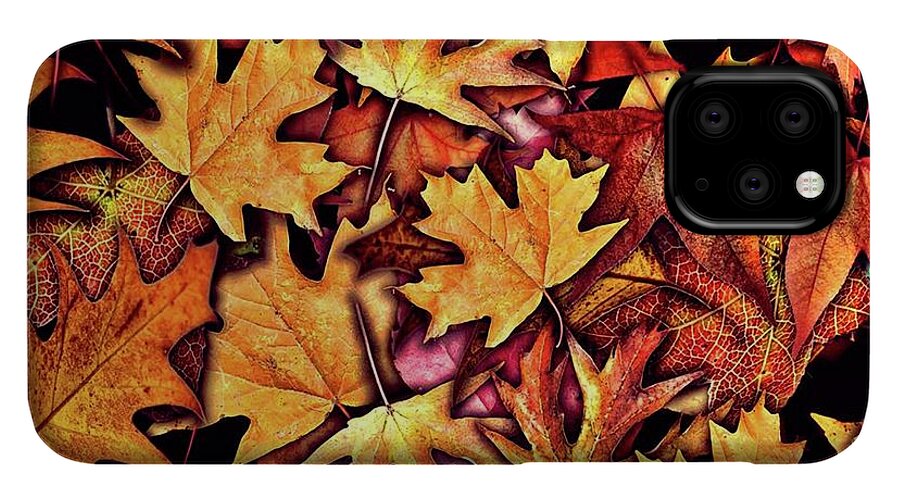 Fall Leaves Collage - Phone Case