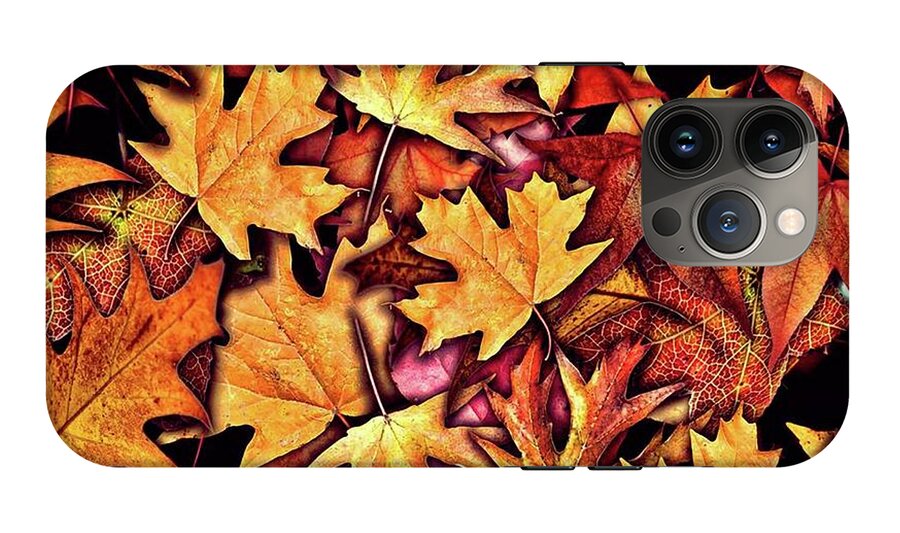 Fall Leaves Collage - Phone Case