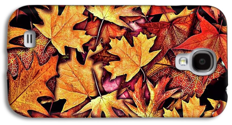 Fall Leaves Collage - Phone Case