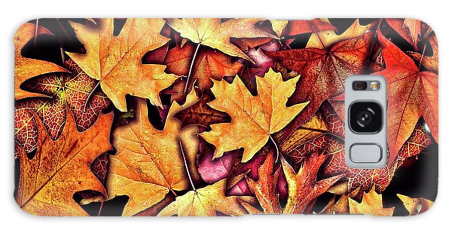 Fall Leaves Collage - Phone Case