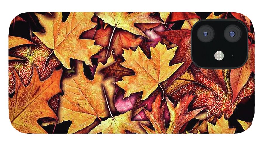 Fall Leaves Collage - Phone Case