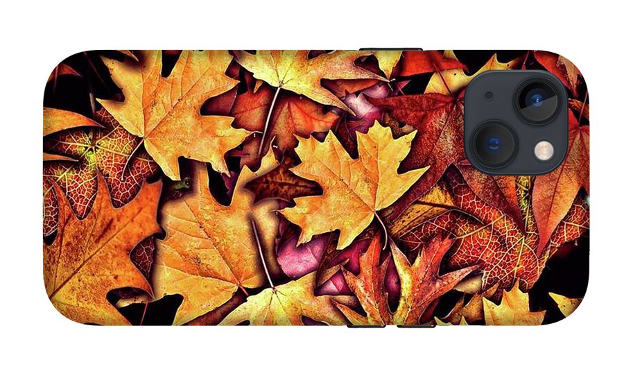 Fall Leaves Collage - Phone Case