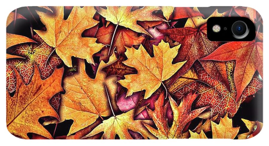 Fall Leaves Collage - Phone Case