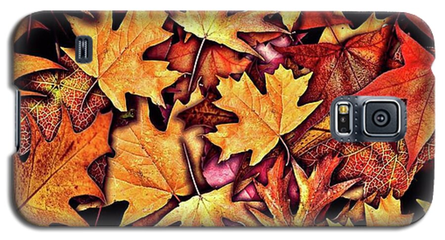 Fall Leaves Collage - Phone Case