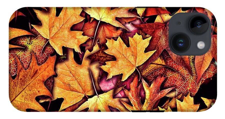 Fall Leaves Collage - Phone Case