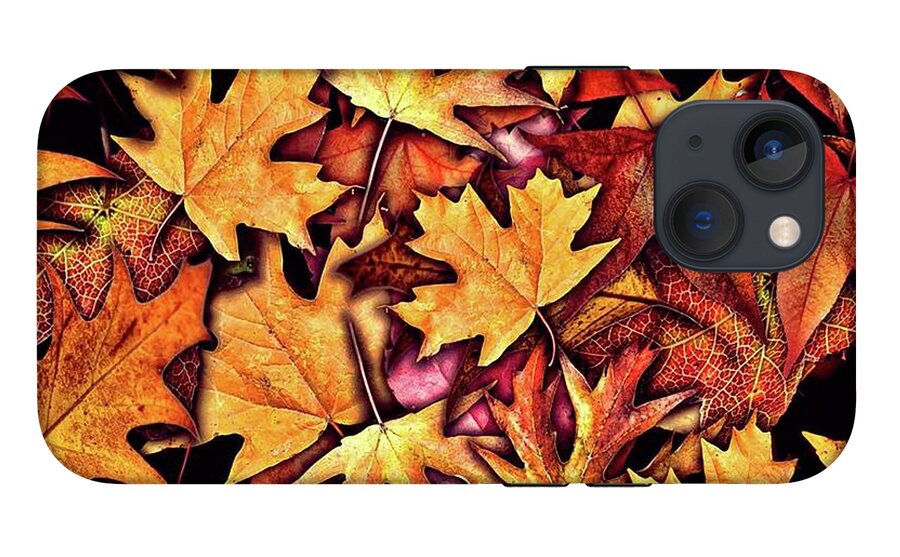 Fall Leaves Collage - Phone Case