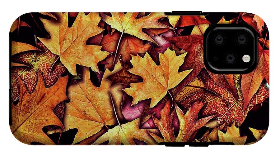 Fall Leaves Collage - Phone Case