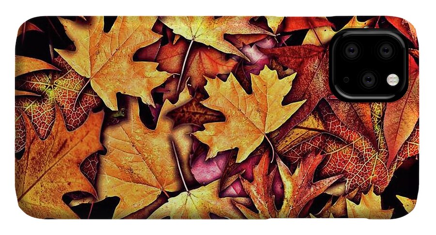 Fall Leaves Collage - Phone Case