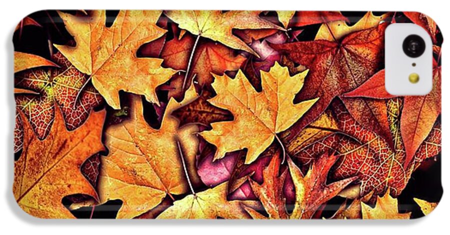 Fall Leaves Collage - Phone Case