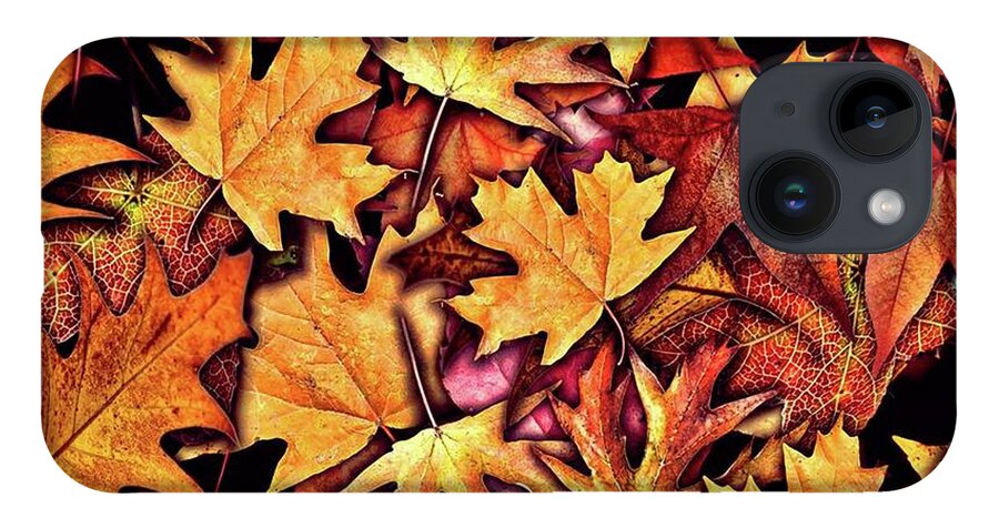 Fall Leaves Collage - Phone Case