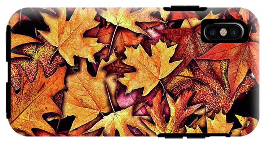 Fall Leaves Collage - Phone Case