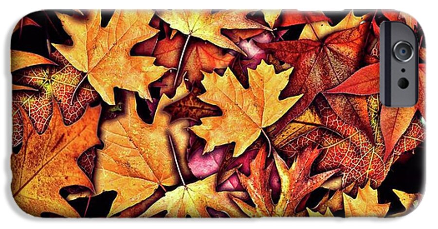 Fall Leaves Collage - Phone Case