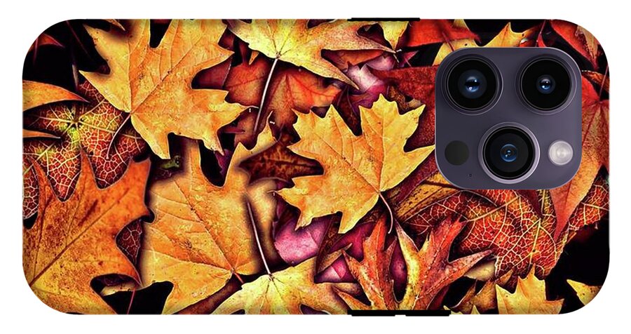 Fall Leaves Collage - Phone Case