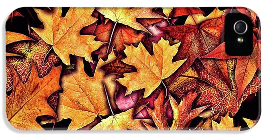 Fall Leaves Collage - Phone Case