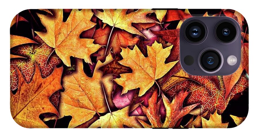 Fall Leaves Collage - Phone Case