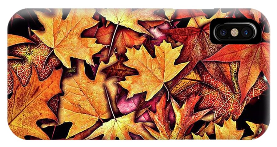 Fall Leaves Collage - Phone Case