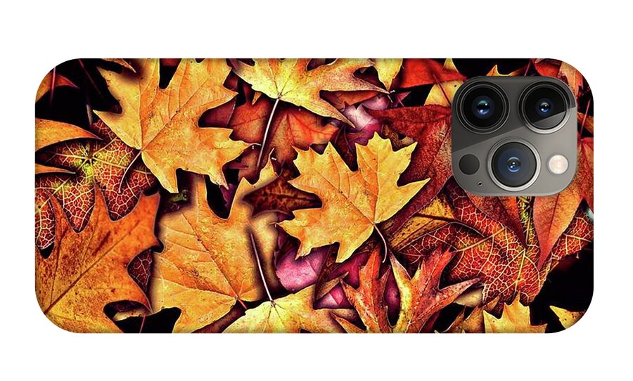 Fall Leaves Collage - Phone Case