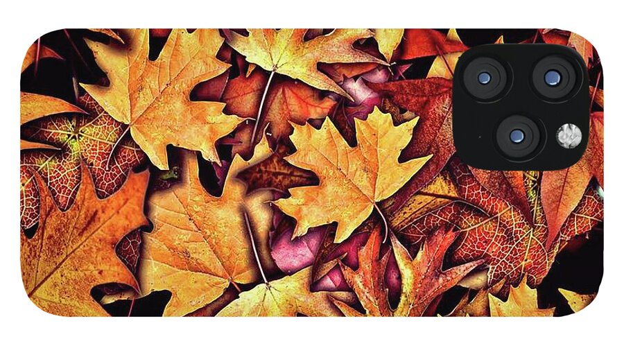 Fall Leaves Collage - Phone Case