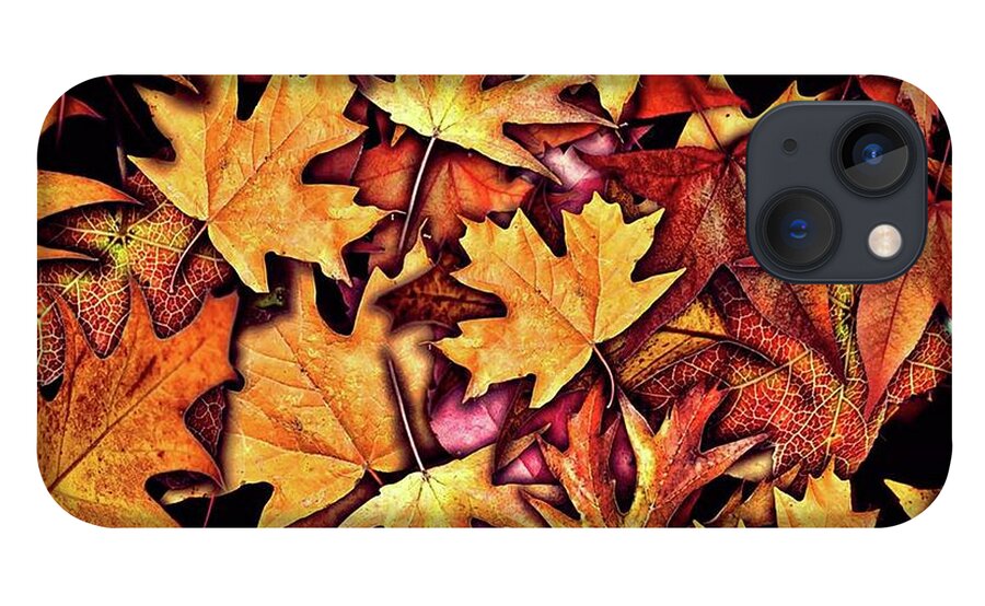 Fall Leaves Collage - Phone Case