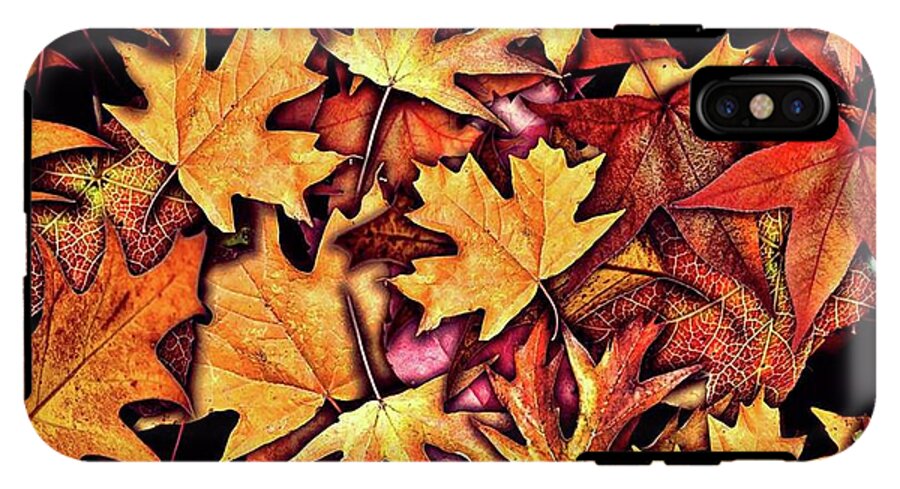 Fall Leaves Collage - Phone Case