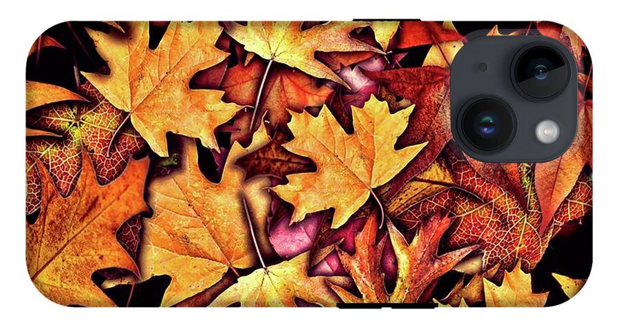 Fall Leaves Collage - Phone Case