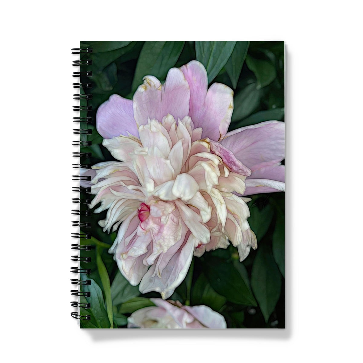 June Peony Notebook