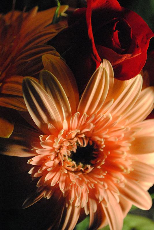 Raw Flowers 8 Digital Image Download
