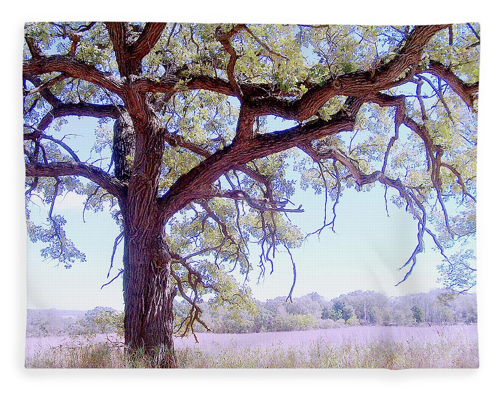 Gnarley Tree - Blanket