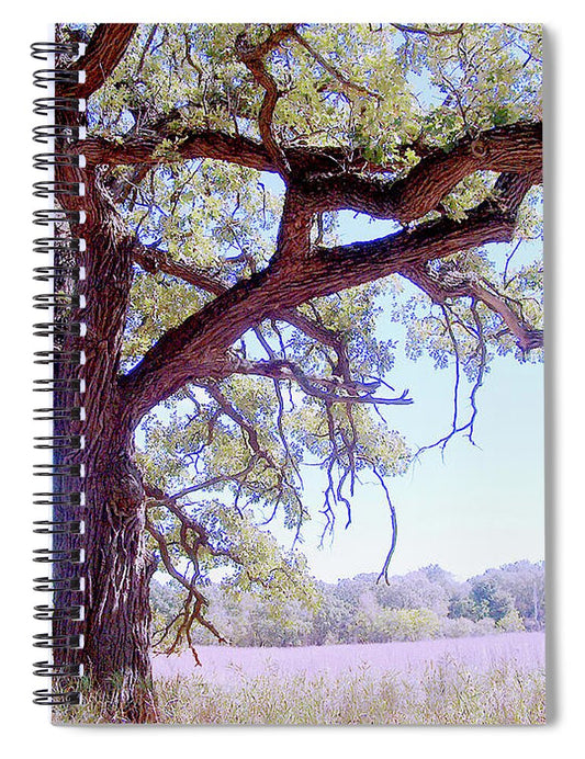 Gnarley Tree - Spiral Notebook