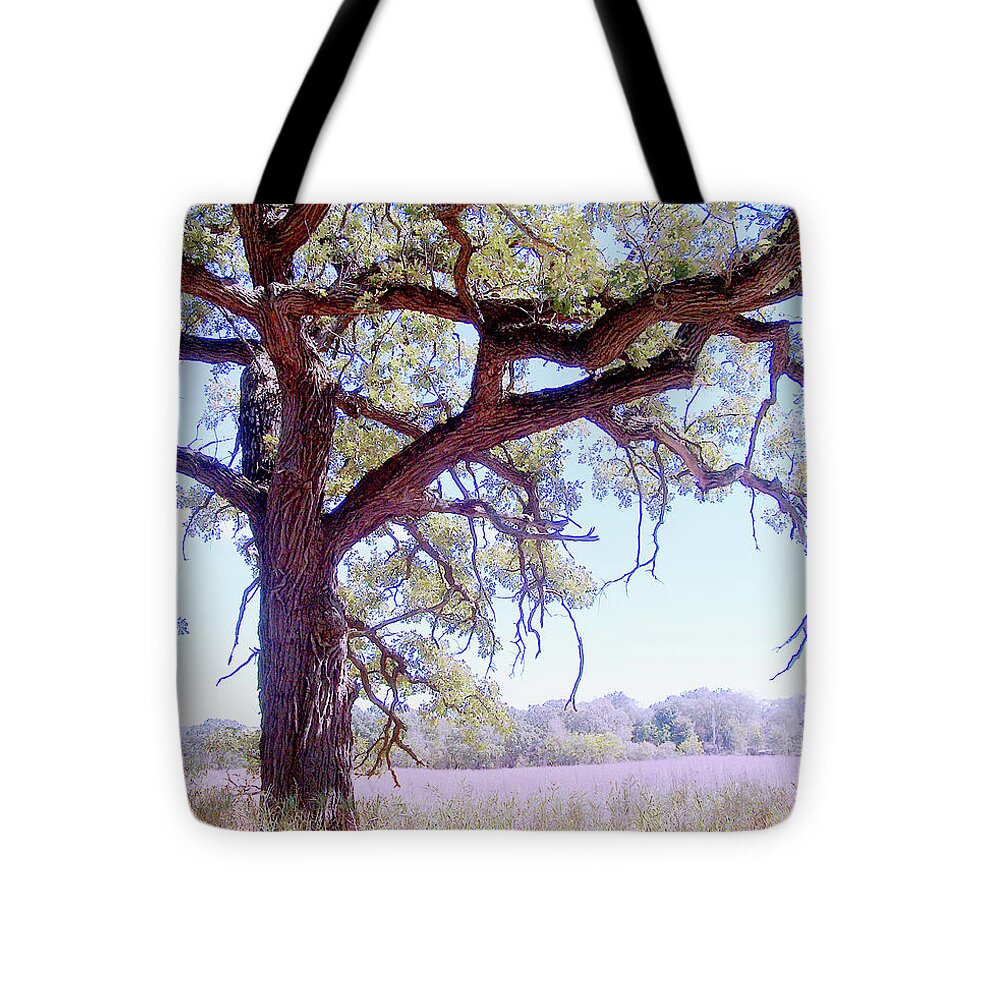 Gnarley Tree - Tote Bag