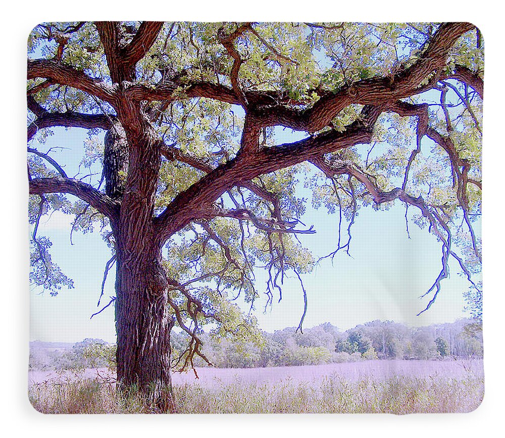 Gnarley Tree - Blanket