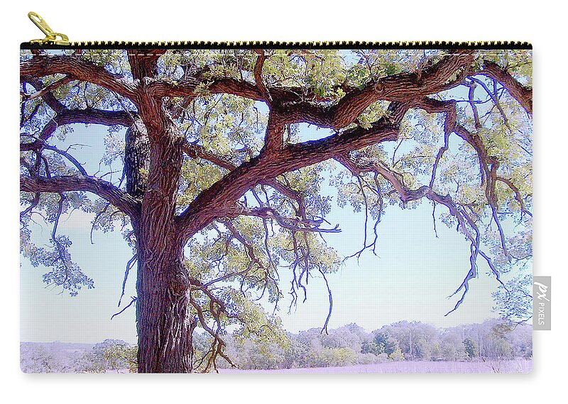 Gnarley Tree - Zip Pouch