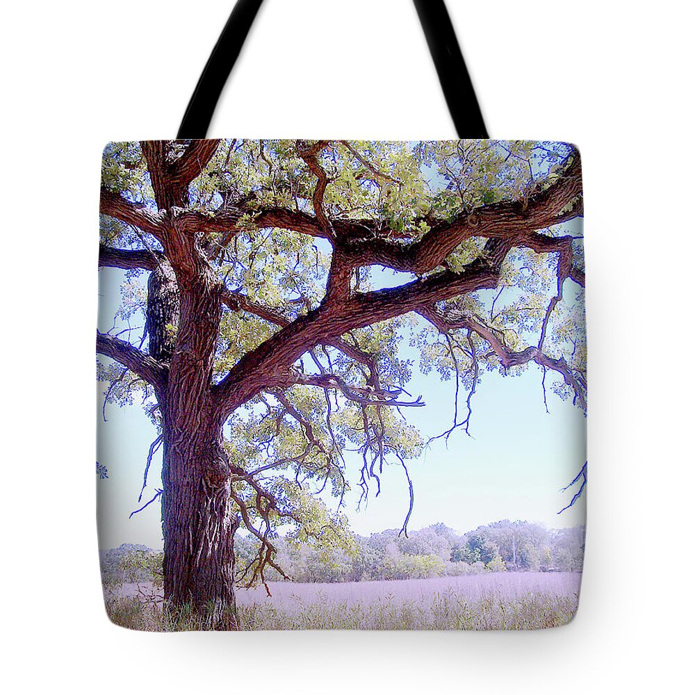 Gnarley Tree - Tote Bag