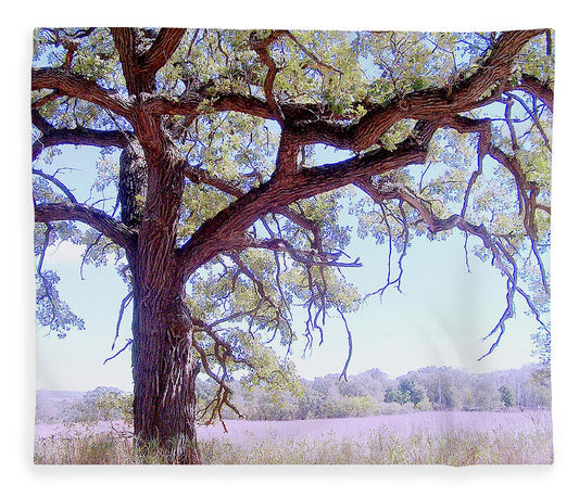 Gnarley Tree - Blanket