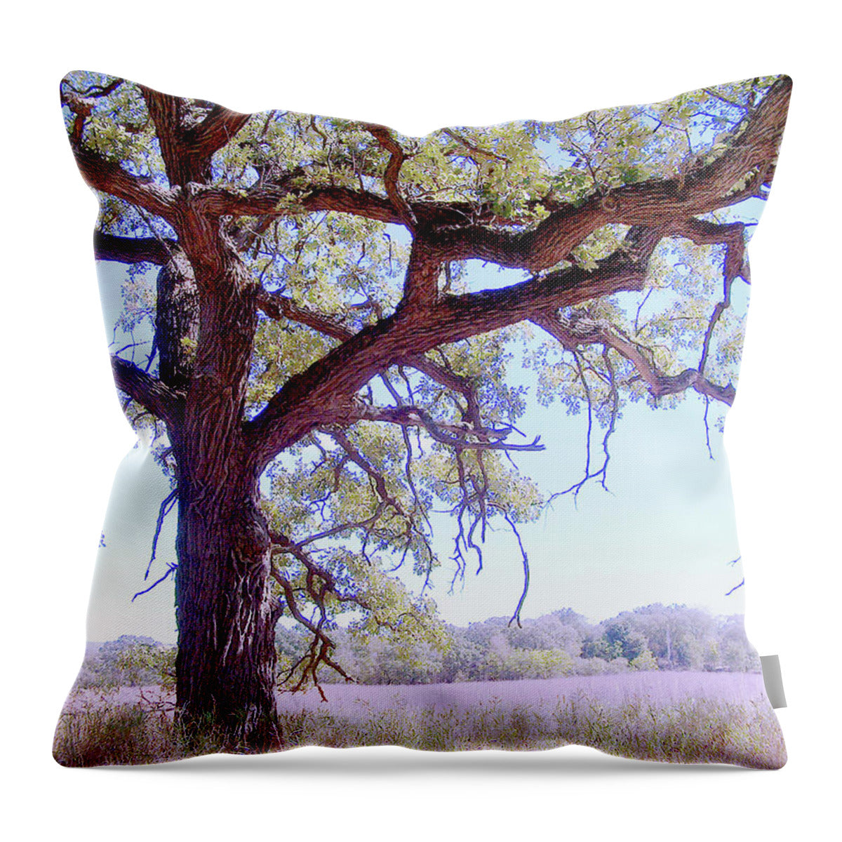 Gnarley Tree - Throw Pillow