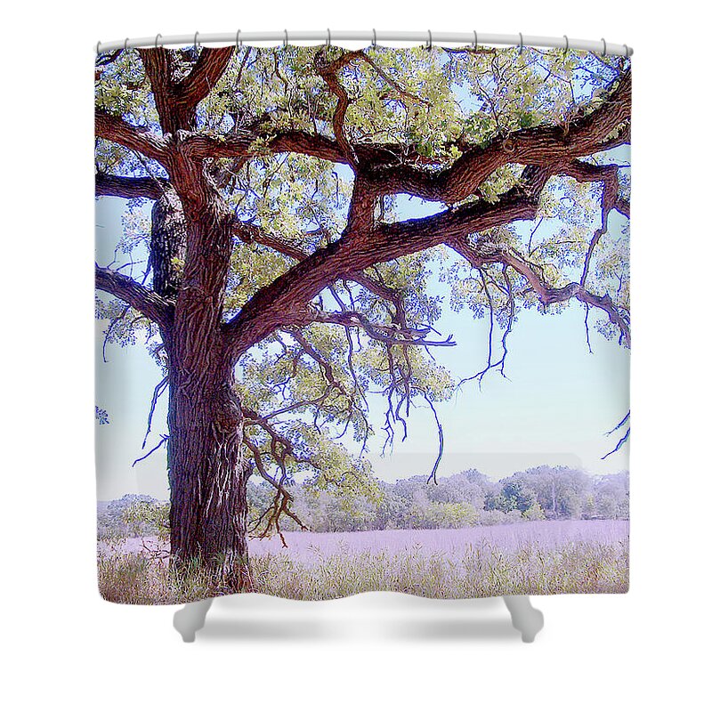 Gnarley Tree - Shower Curtain