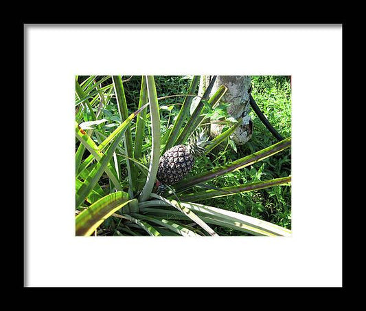 Hawaii 1 - Framed Print