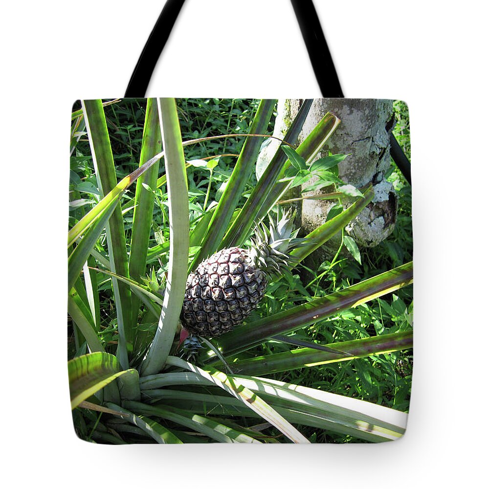 Hawaii 1 - Tote Bag