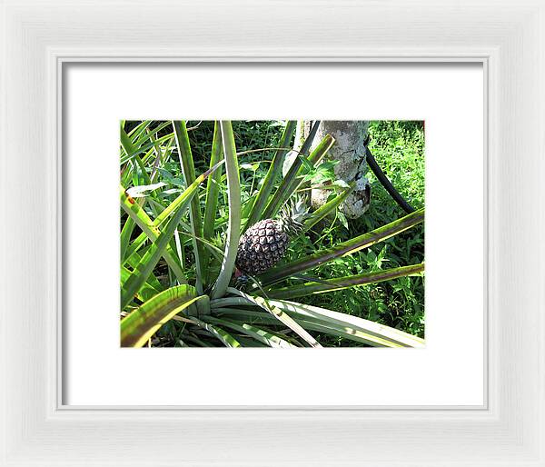 Hawaii 1 - Framed Print