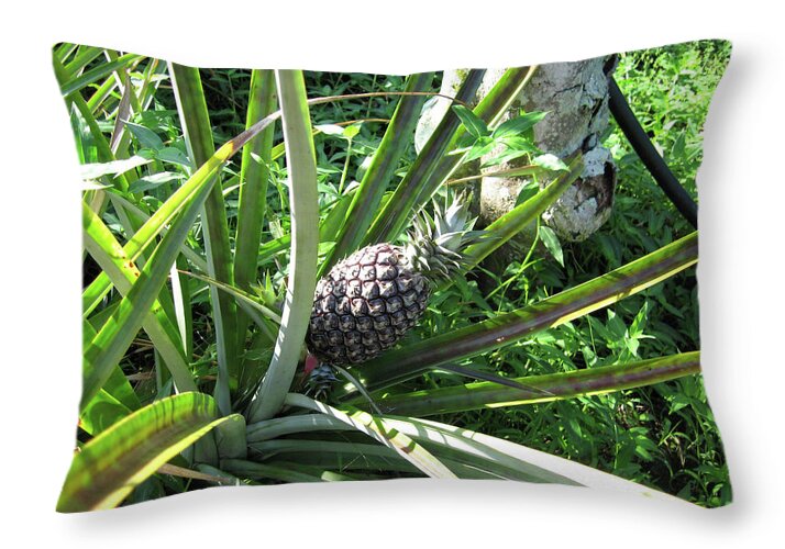 Hawaii 1 - Throw Pillow