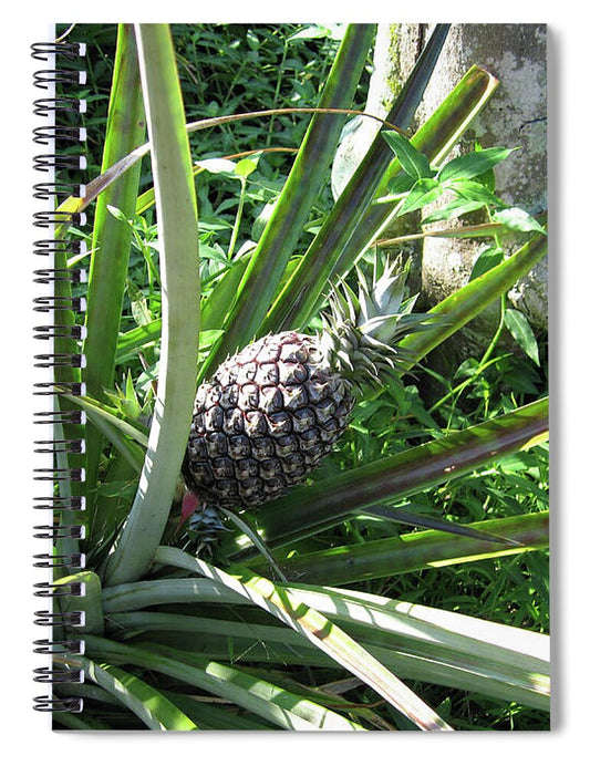 Hawaii 1 - Spiral Notebook